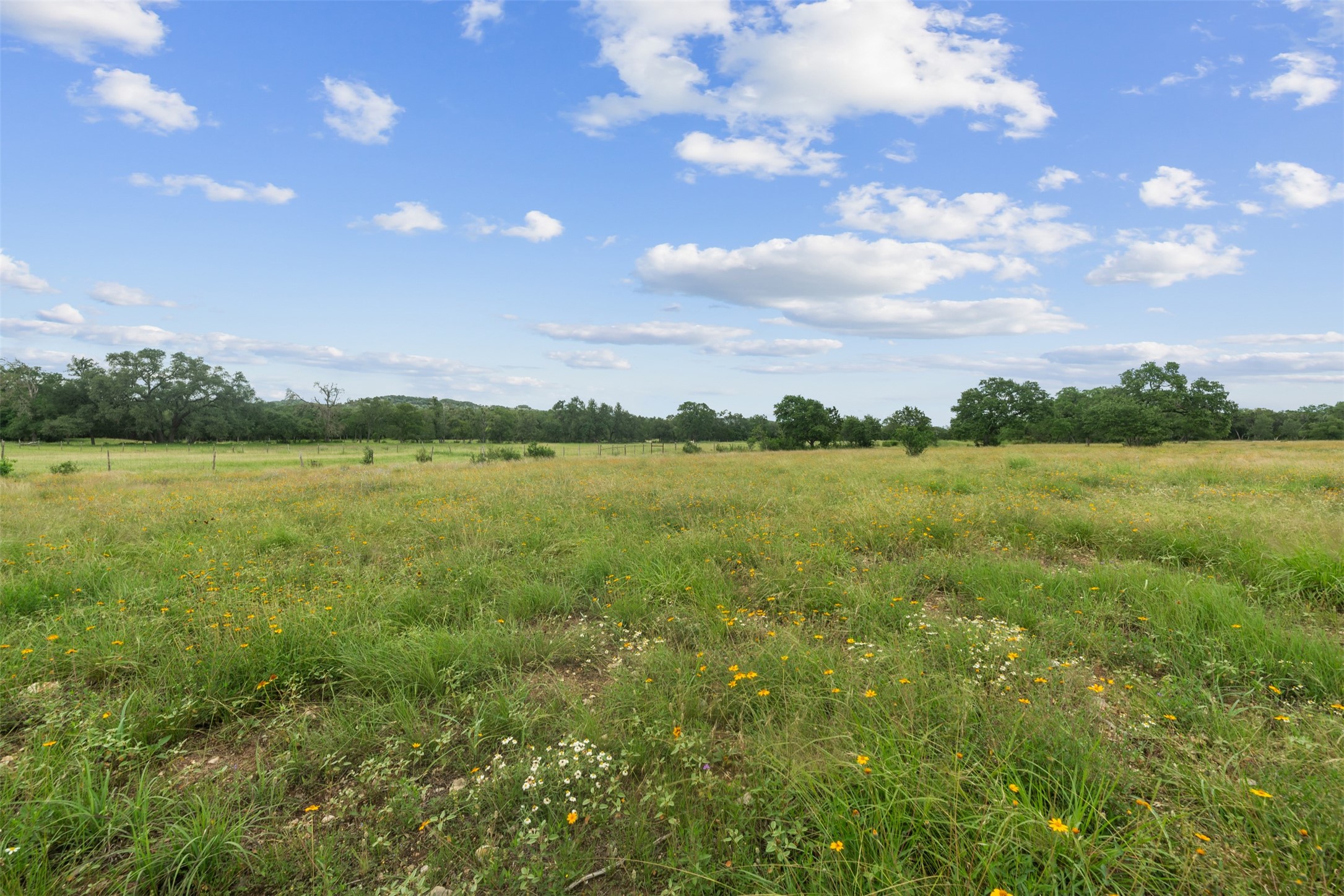 34000 Smithson Valley Road Property Photo 49
