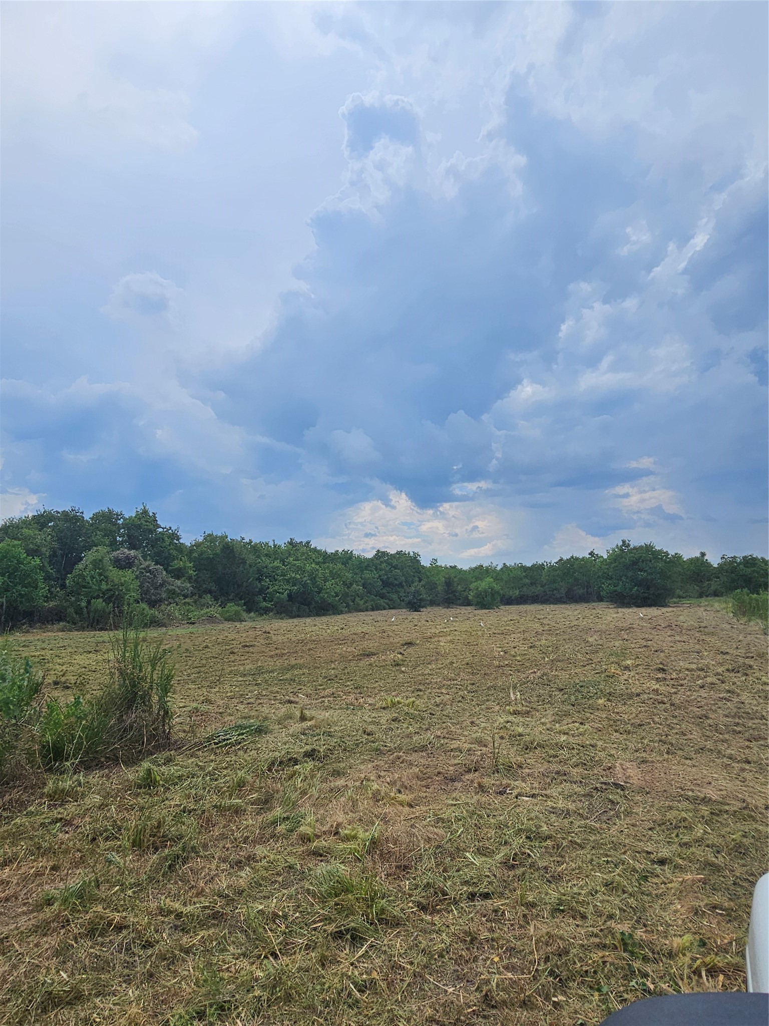 15835 Tri City Beach Property Photo 9