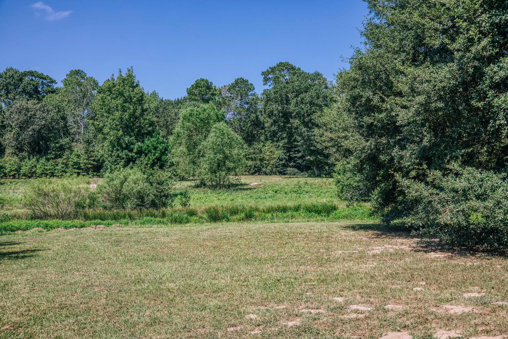 22984 Nichols Sawmill Road Property Photo 40