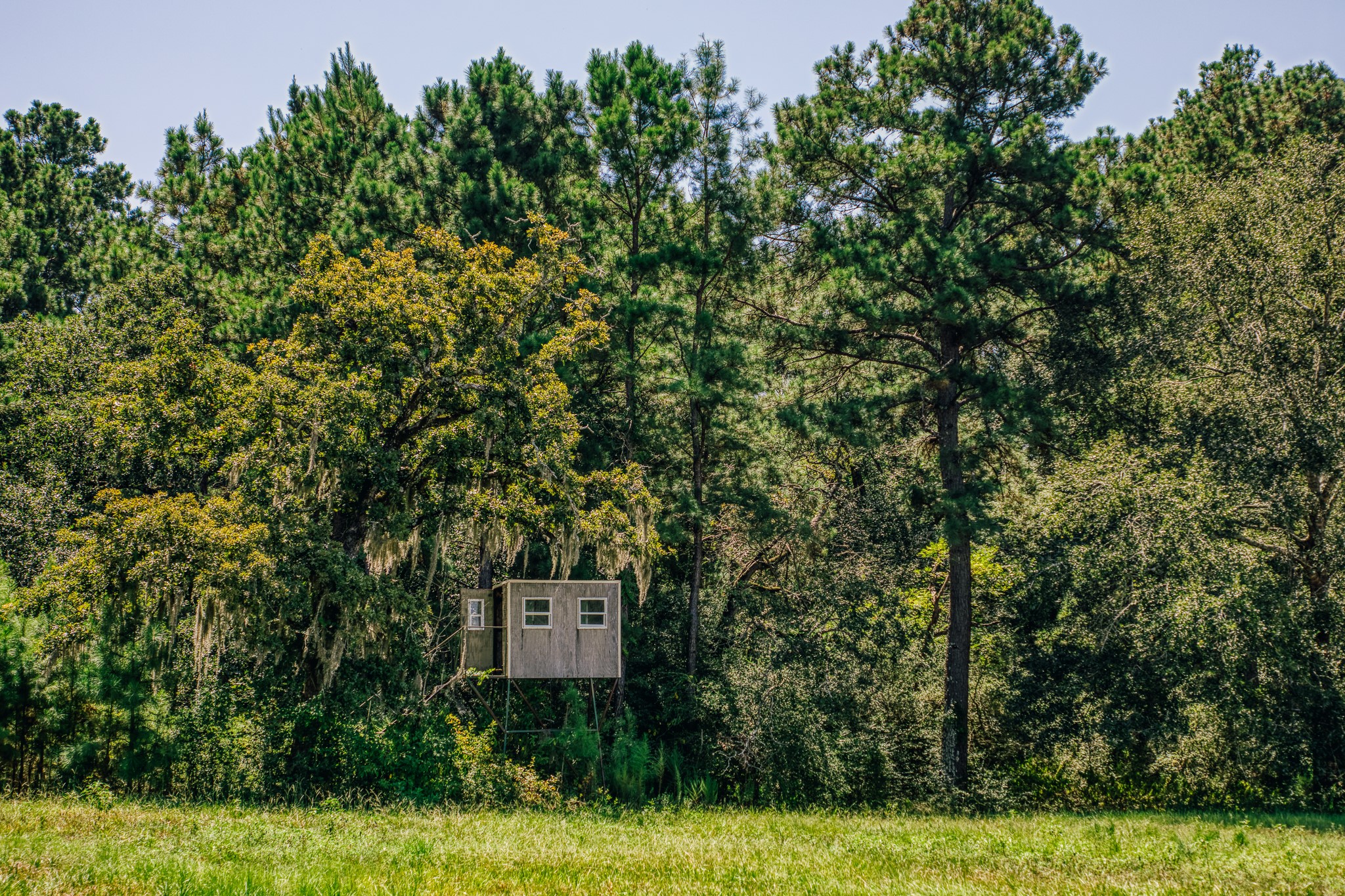 22984 Nichols Sawmill Road Property Photo 42