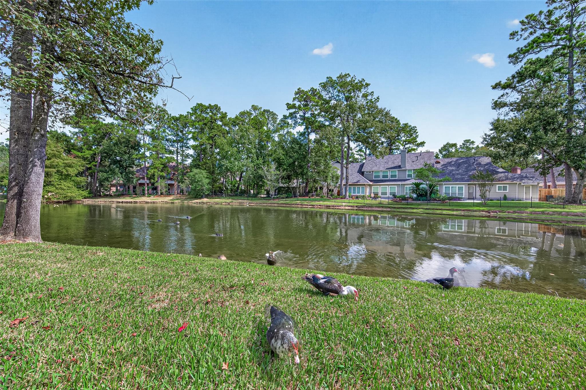2 Turtle Rock Court, Spring Tx 77381 Property Photo 40