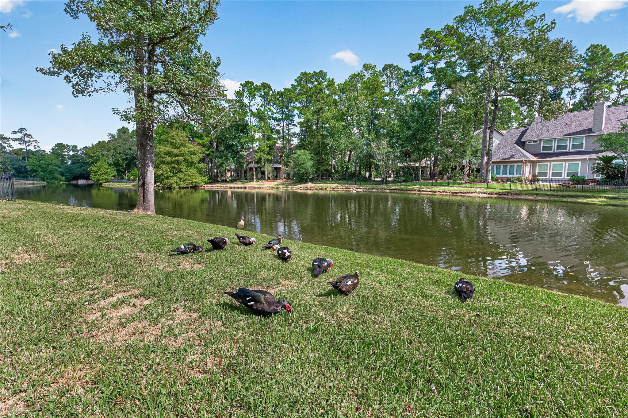 2 Turtle Rock Court, Spring Tx 77381 Property Photo 41