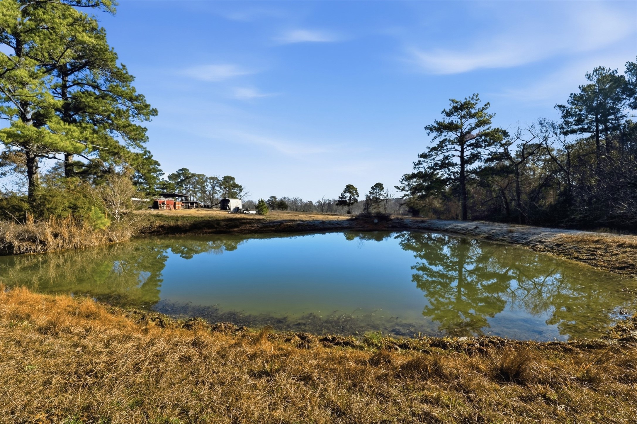 4027 Spring Branch Road Property Photo 10