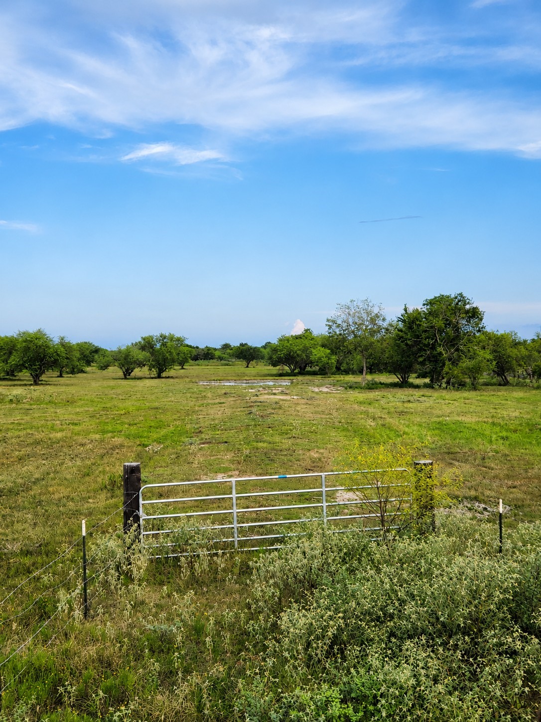 13550 Moody Road Property Photo 4