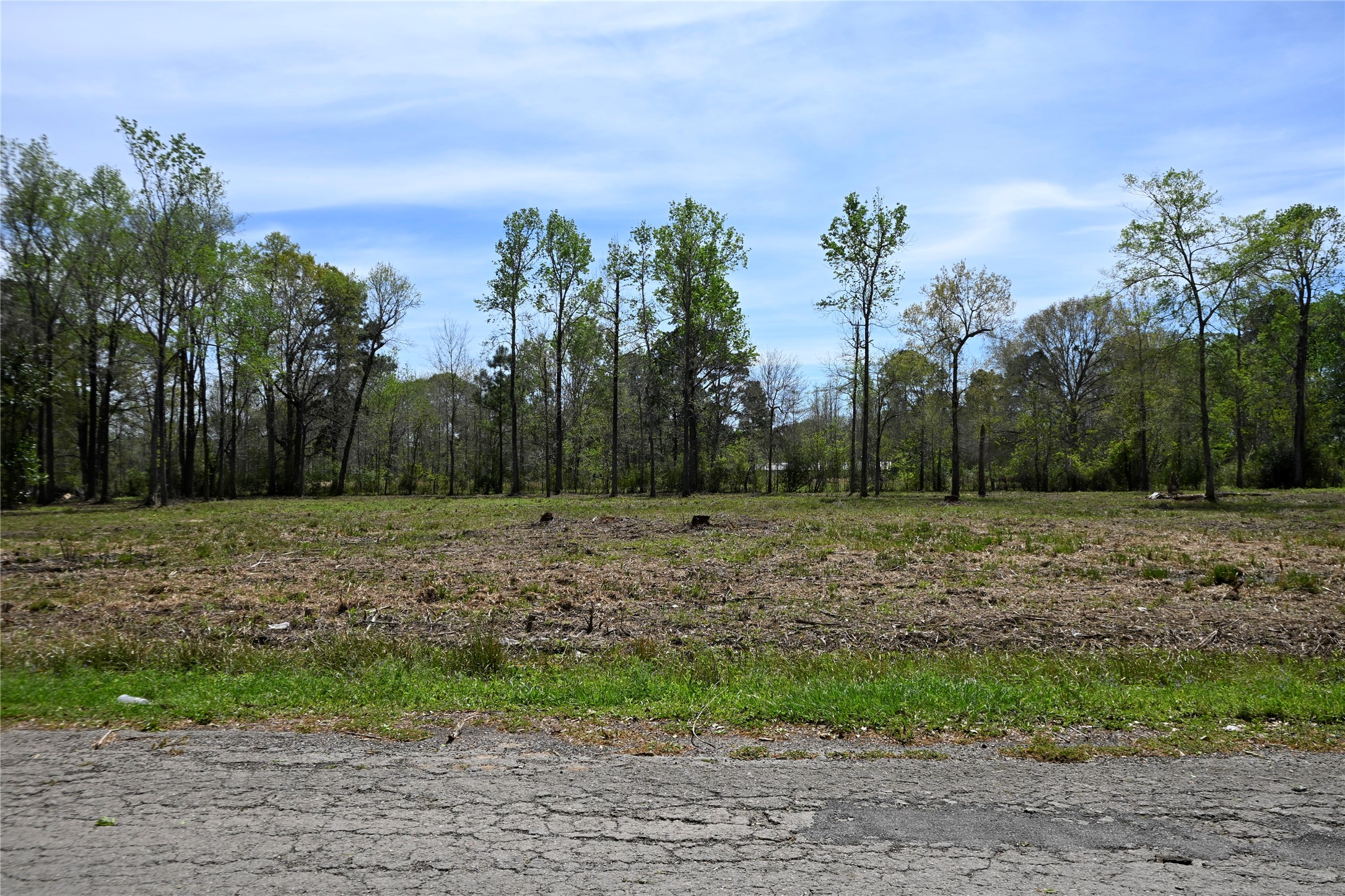 Lot 4 County Road 2360 Property Photo 1