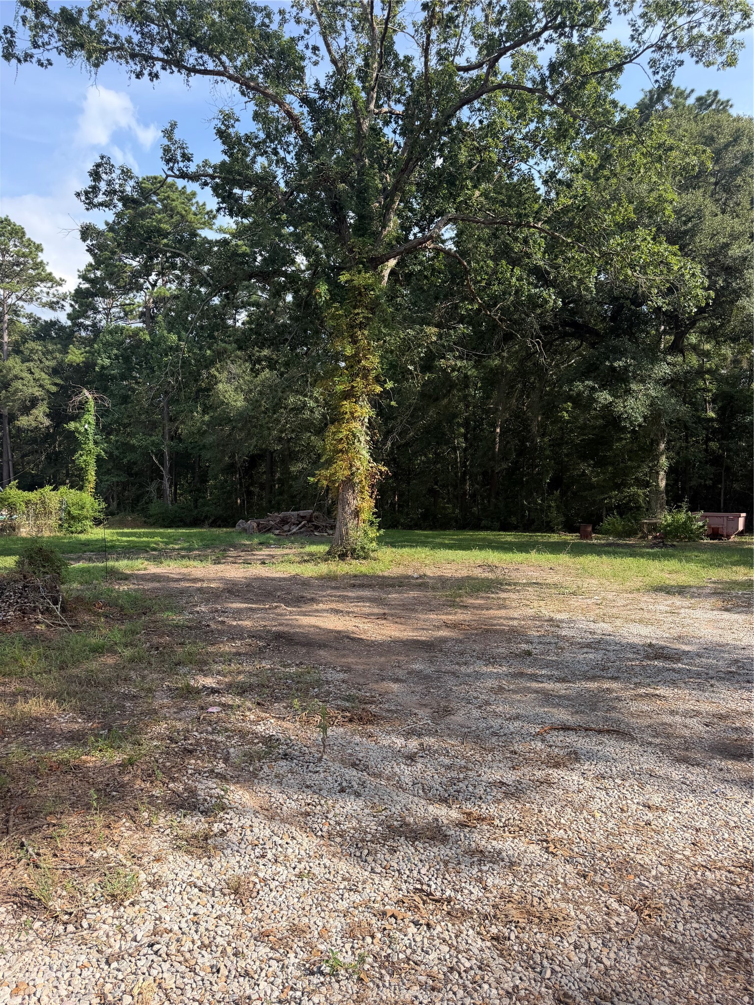 17162 Highway 105 E Property Photo 14