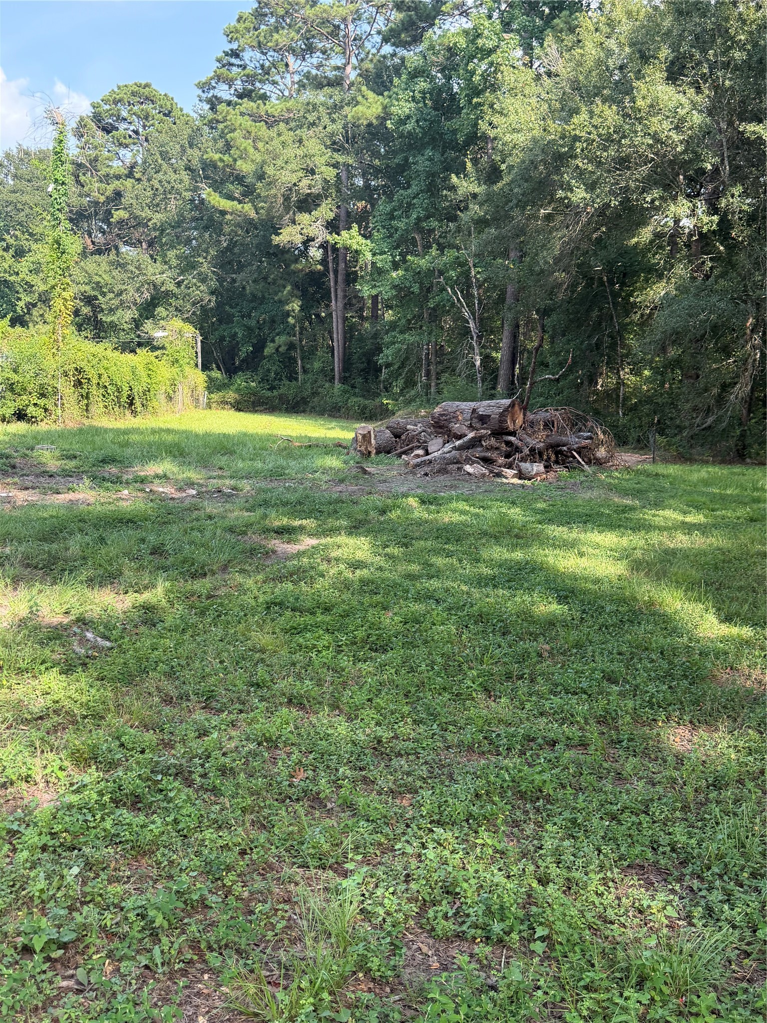 17162 Highway 105 E Property Photo 17