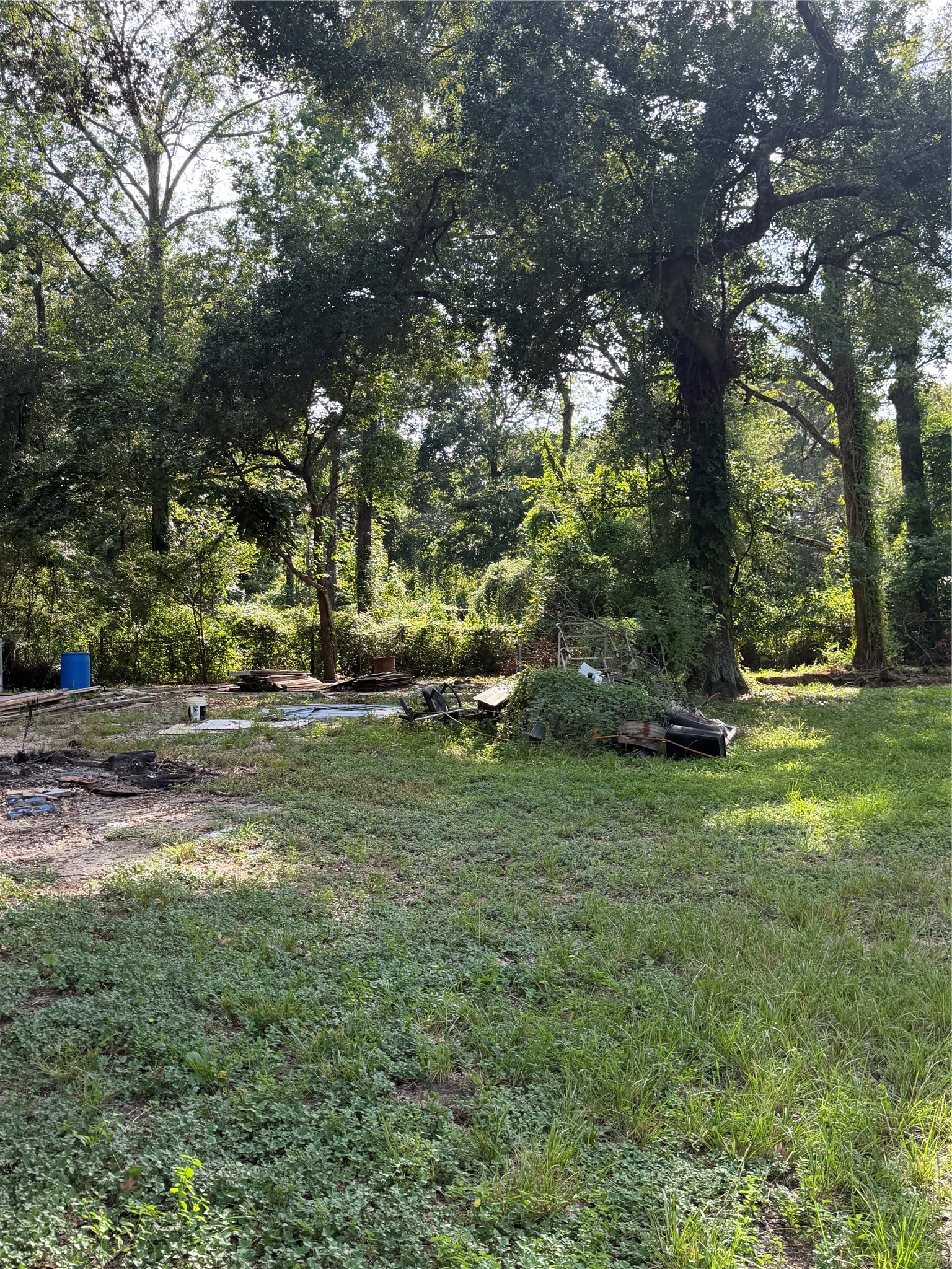 17162 Highway 105 E Property Photo 18