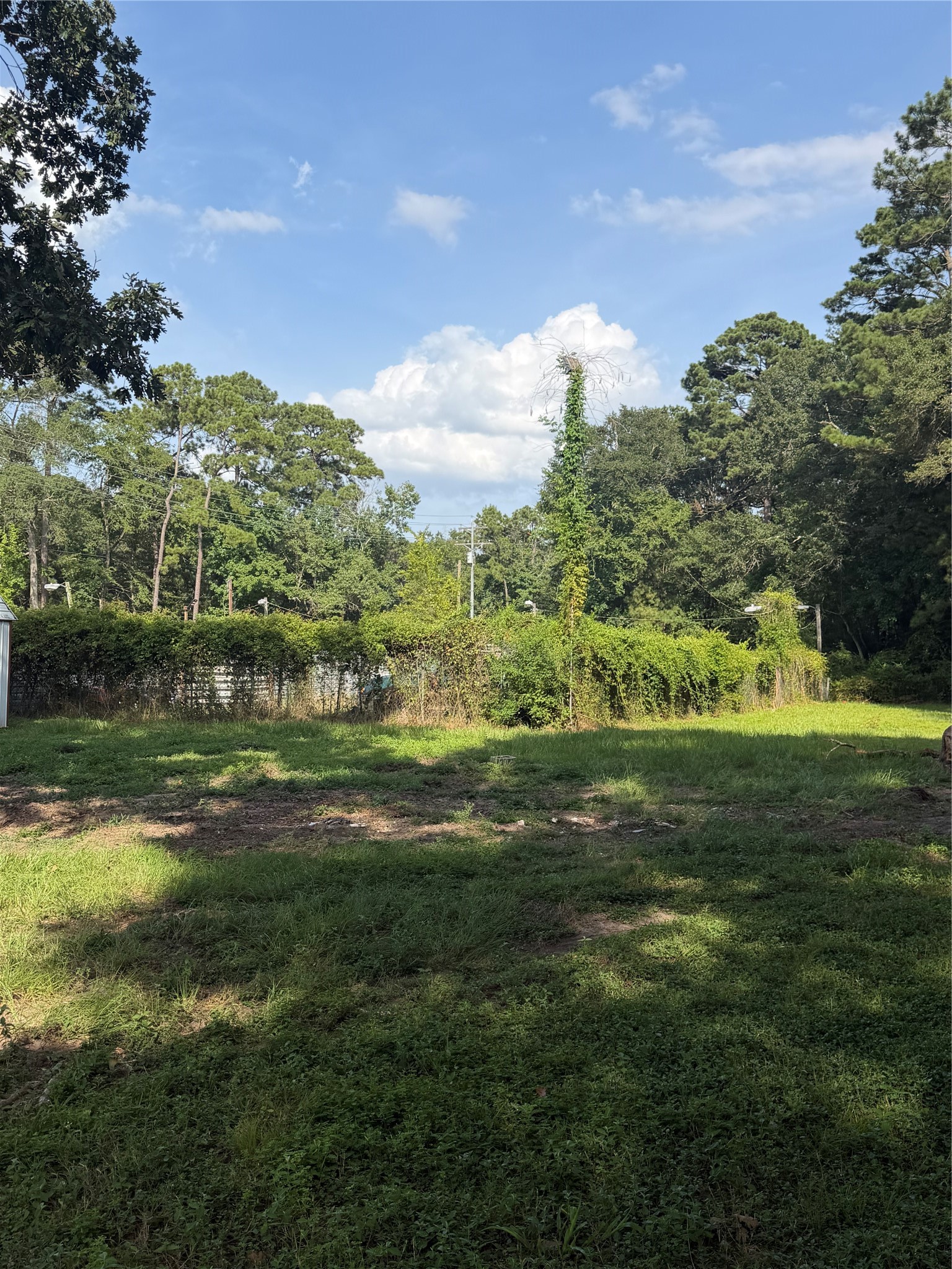 17162 Highway 105 E Property Photo 19