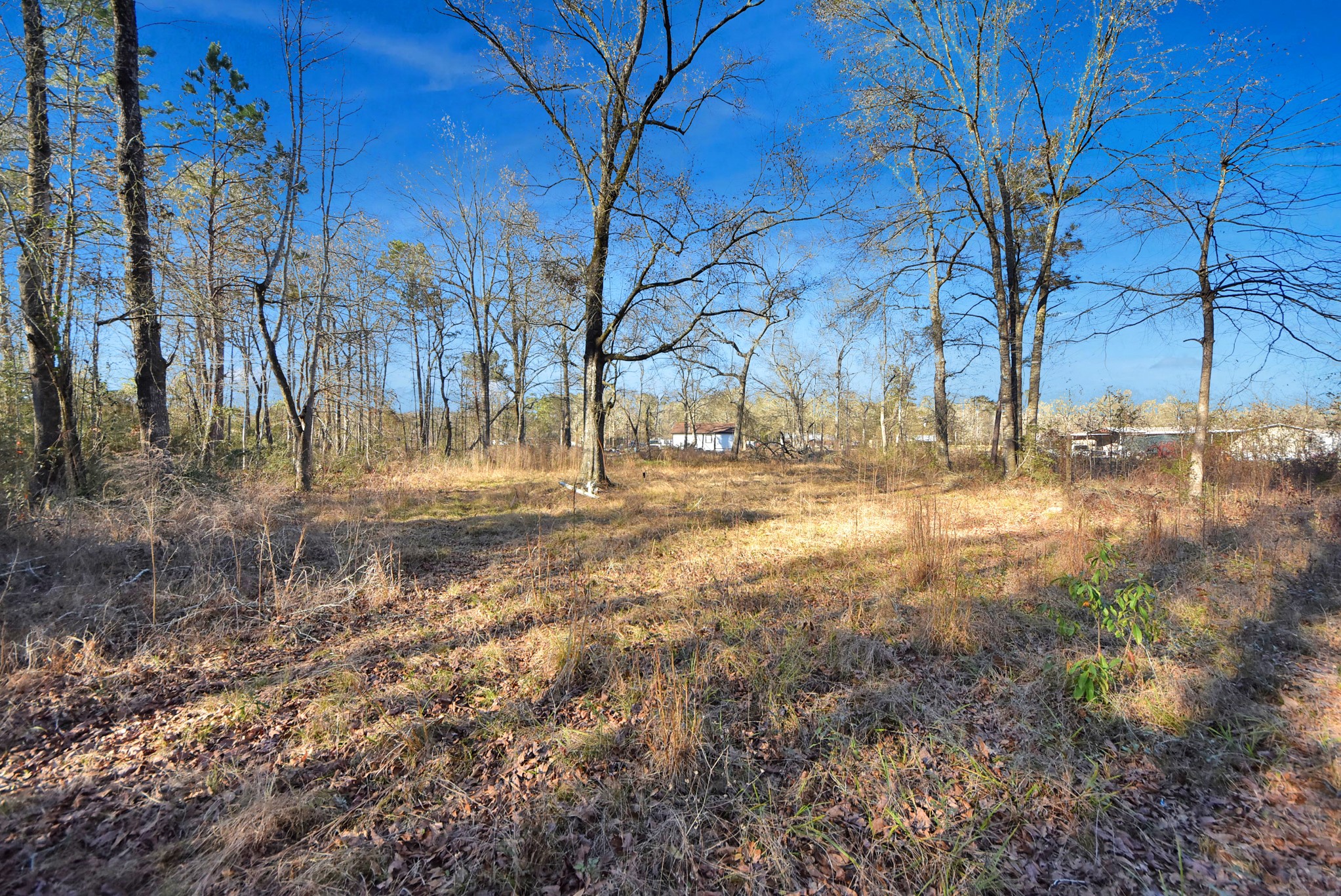 271 Trails End Drive Property Photo 39