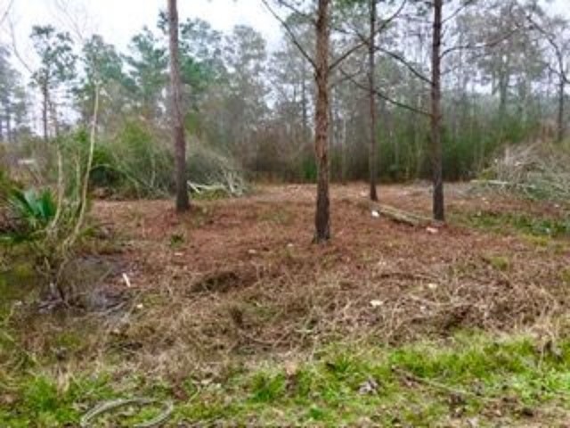 14255 Gray Road Property Photo 1