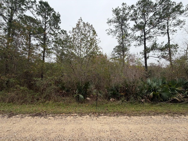 14255 Gray Road Property Photo 2