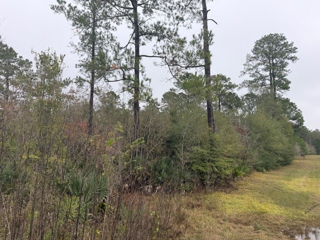 14255 Gray Road Property Photo 3
