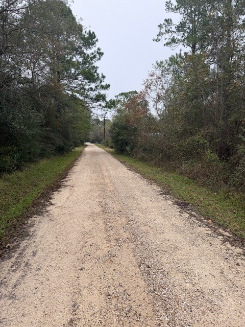 14255 Gray Road Property Photo 4
