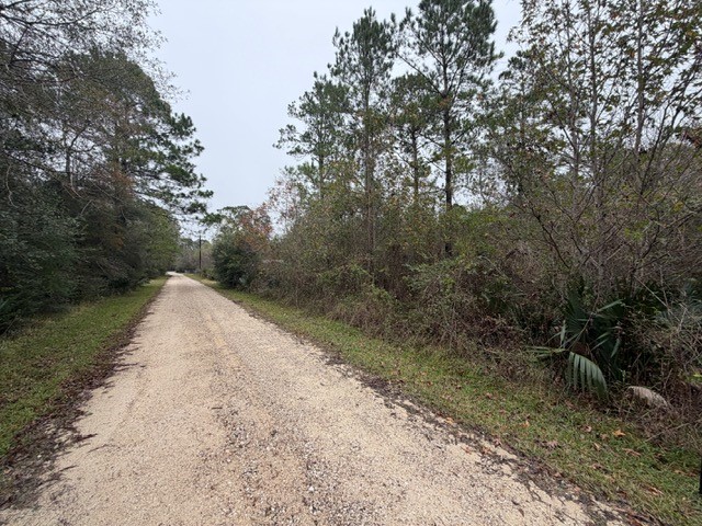 14255 Gray Road Property Photo 5
