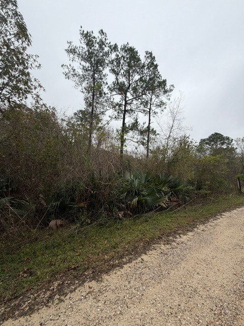 14255 Gray Road Property Photo 7