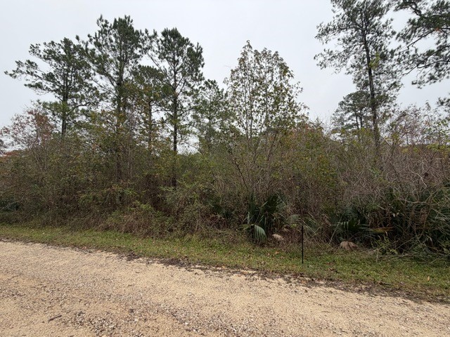 14255 Gray Road Property Photo 8