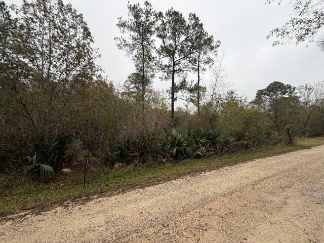 14255 Gray Road Property Photo 9