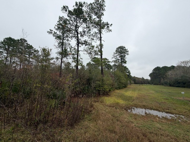 14255 Gray Road Property Photo 10