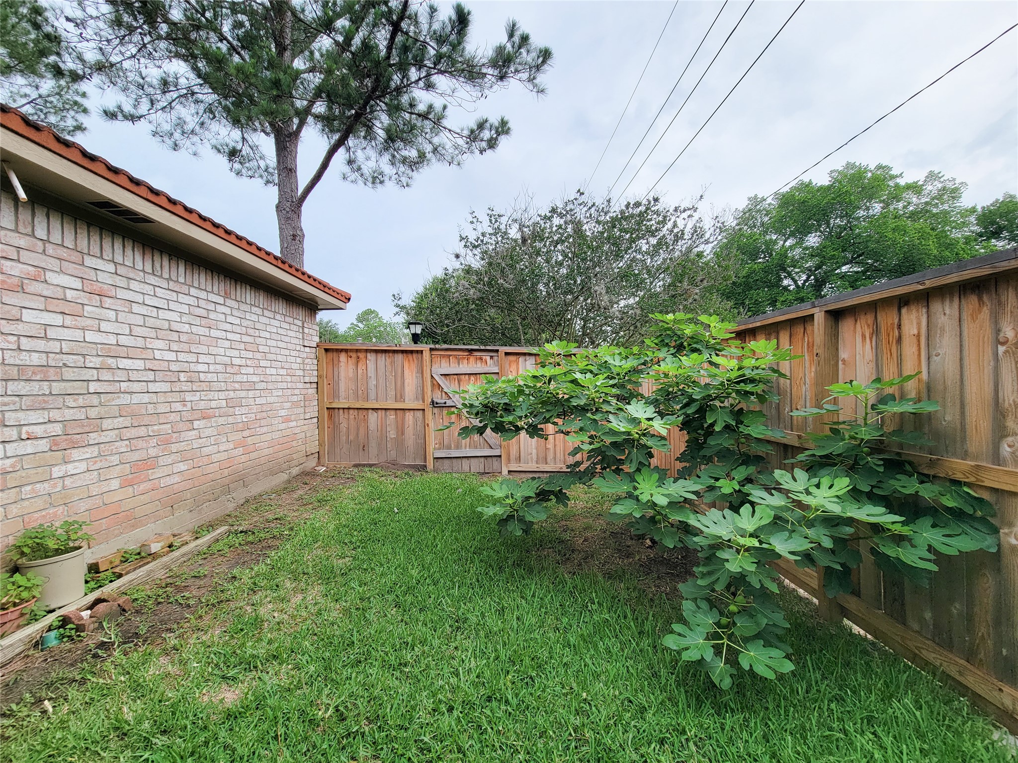 12800 Briar Forest Drive 53 Property Photo 32