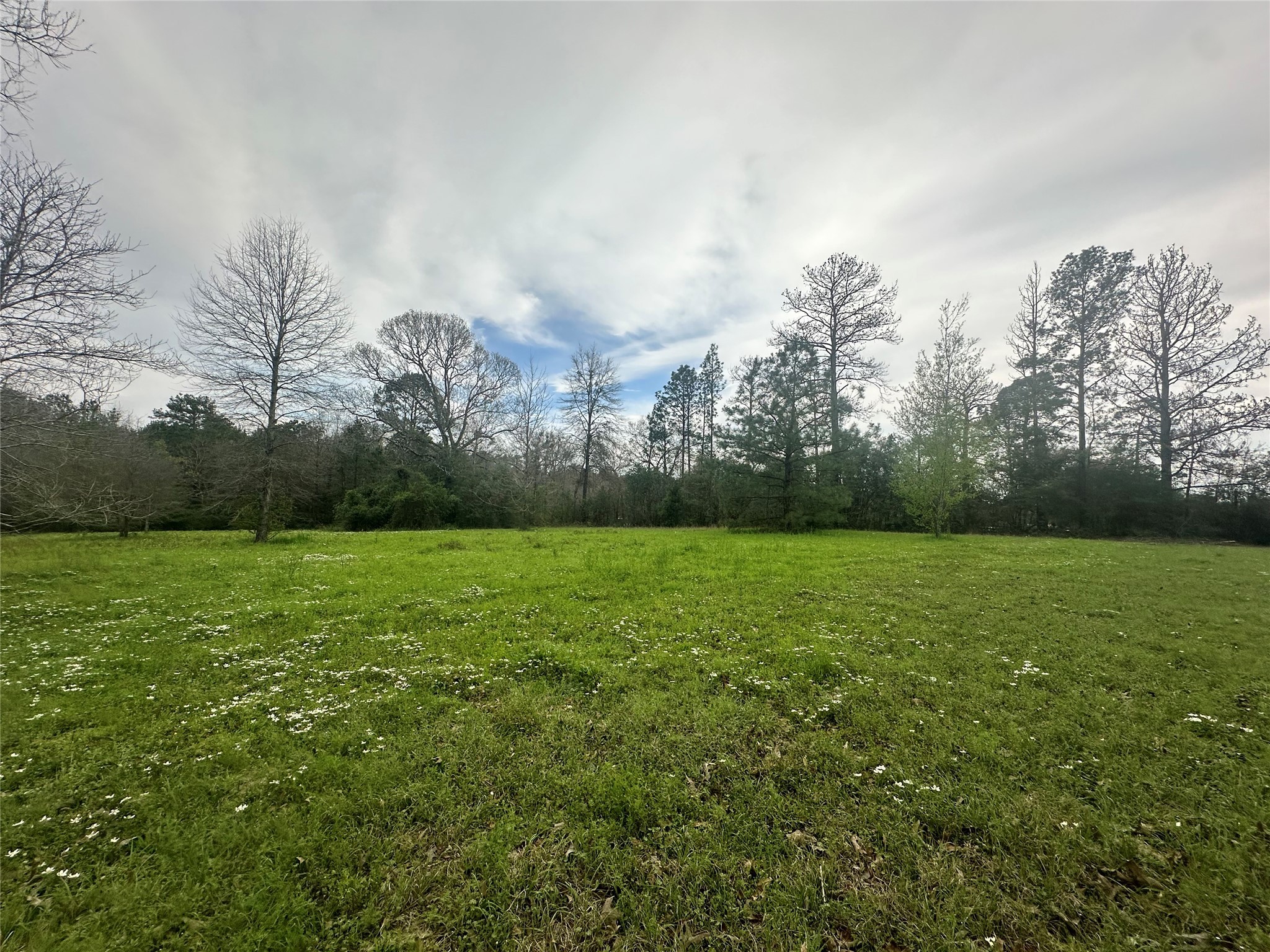 Tbd County Road 4760 Property Photo 3