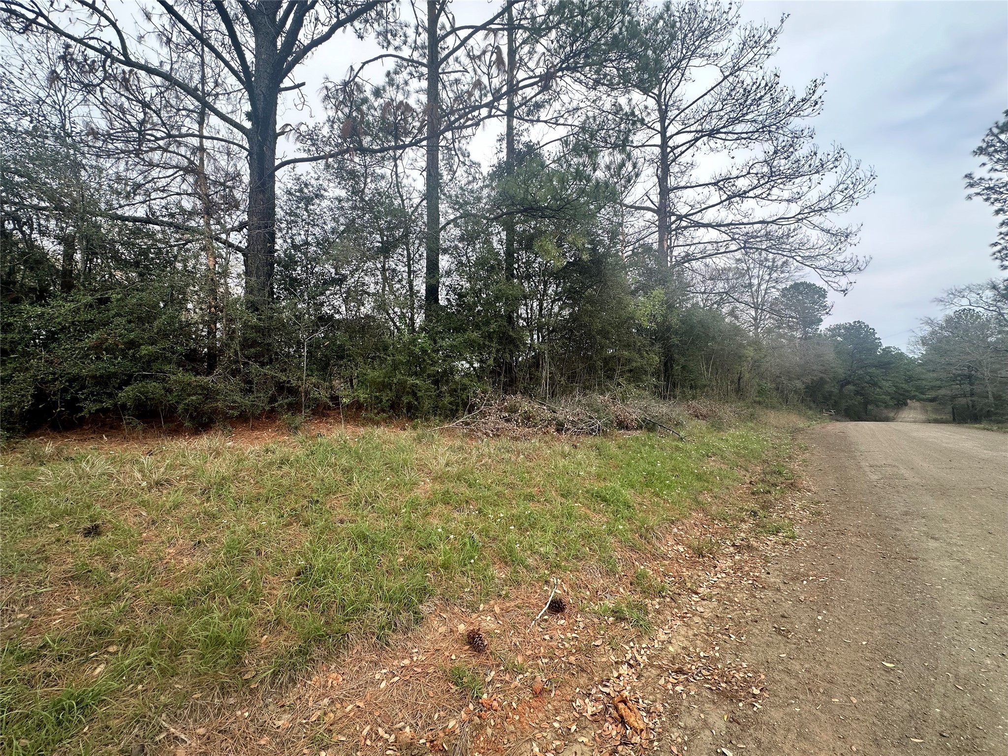 Tbd County Road 4760 Property Photo 4