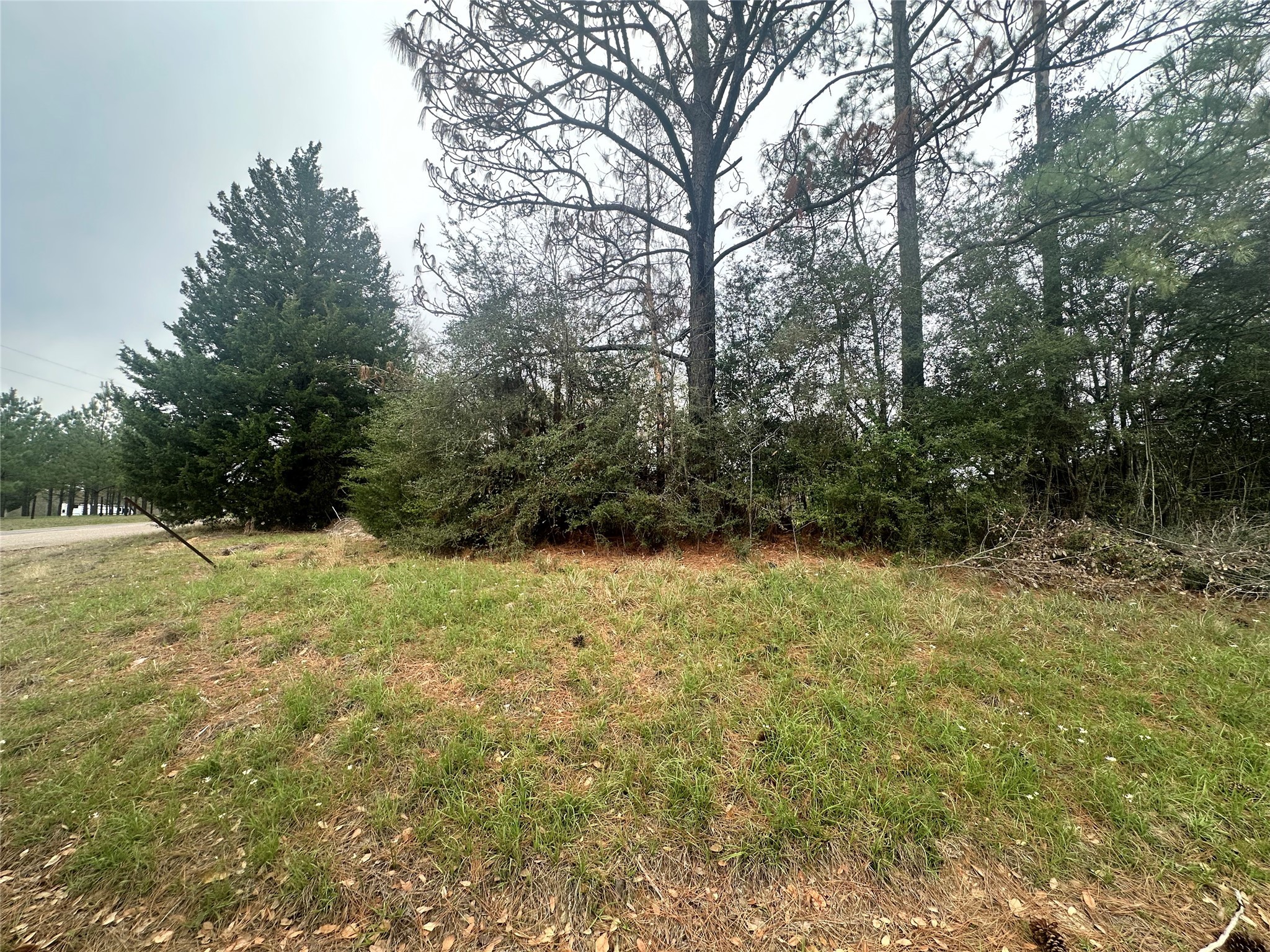 Tbd County Road 4760 Property Photo 5