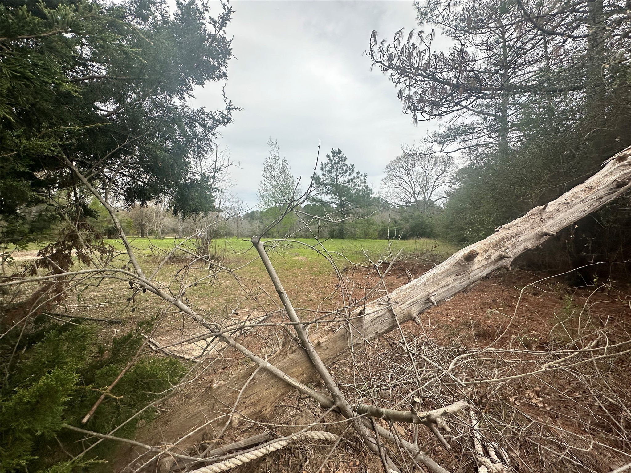Tbd County Road 4760 Property Photo 6