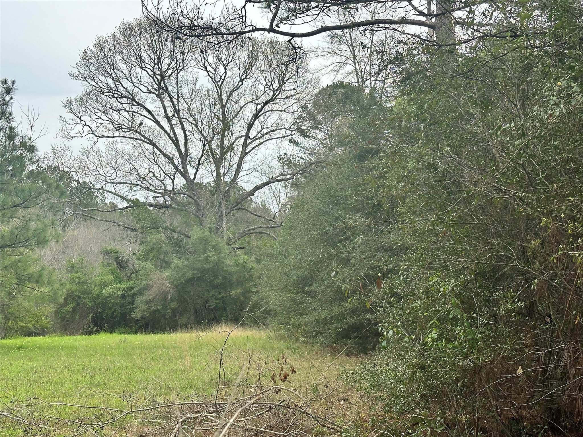Tbd County Road 4760 Property Photo 7
