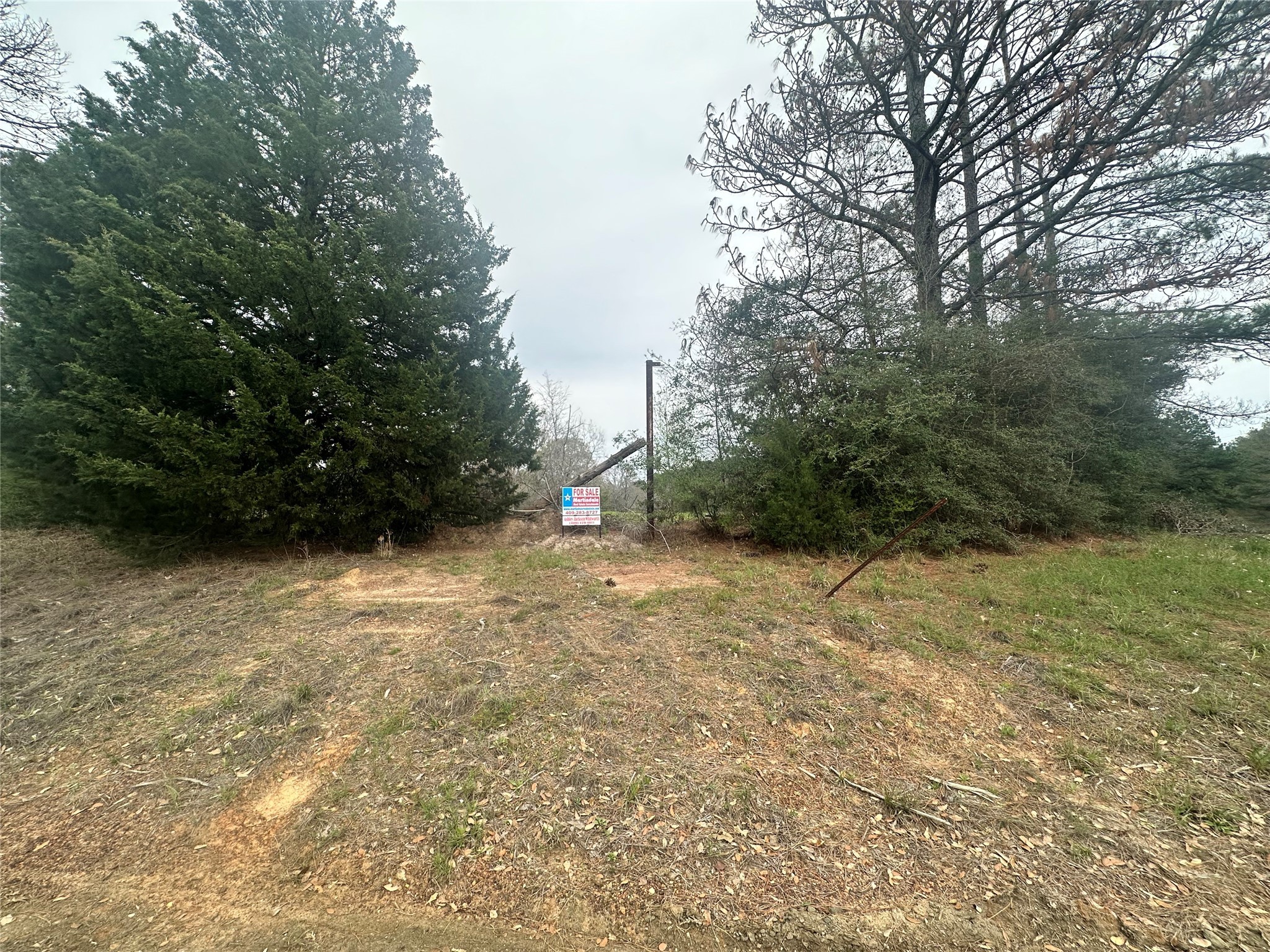 Tbd County Road 4760 Property Photo 8