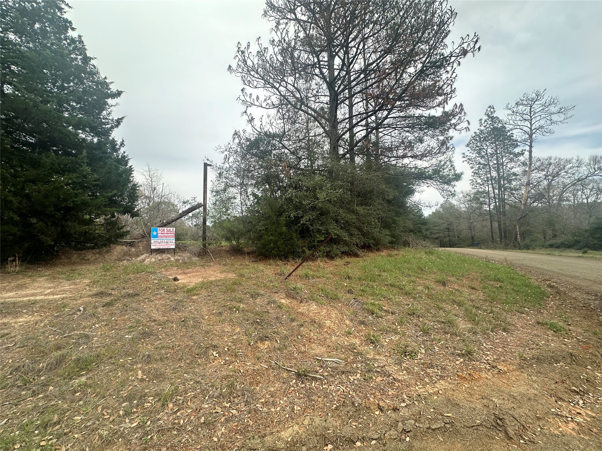 Tbd County Road 4760 Property Photo 10