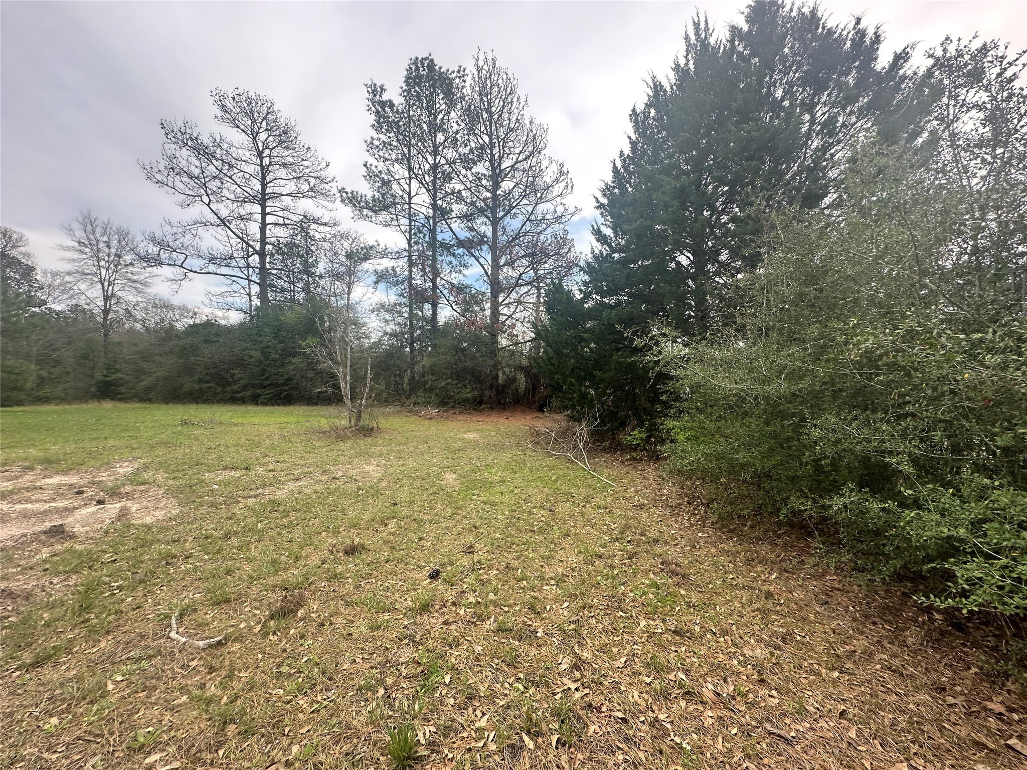Tbd County Road 4760 Property Photo 14