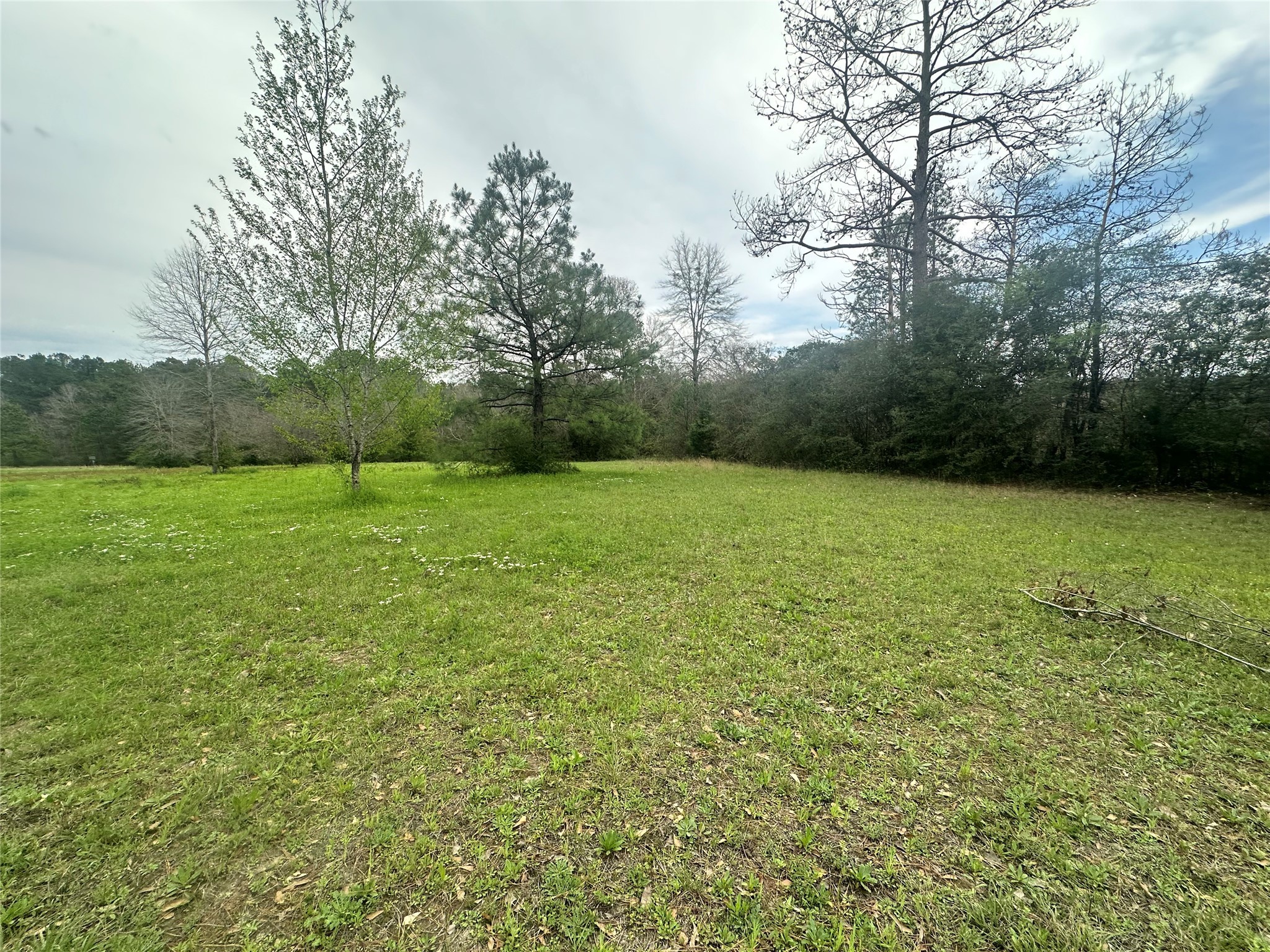 Tbd County Road 4760 Property Photo 15