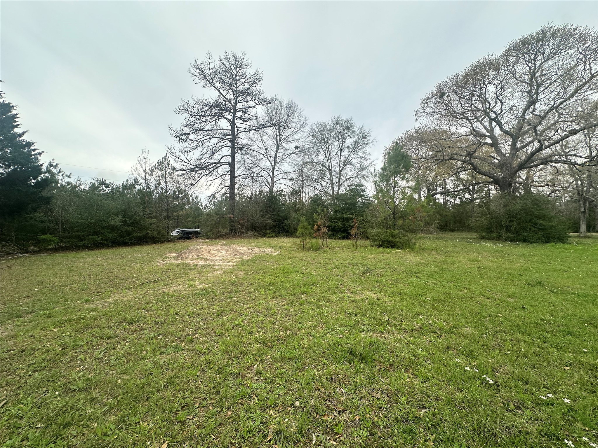 Tbd County Road 4760 Property Photo 16