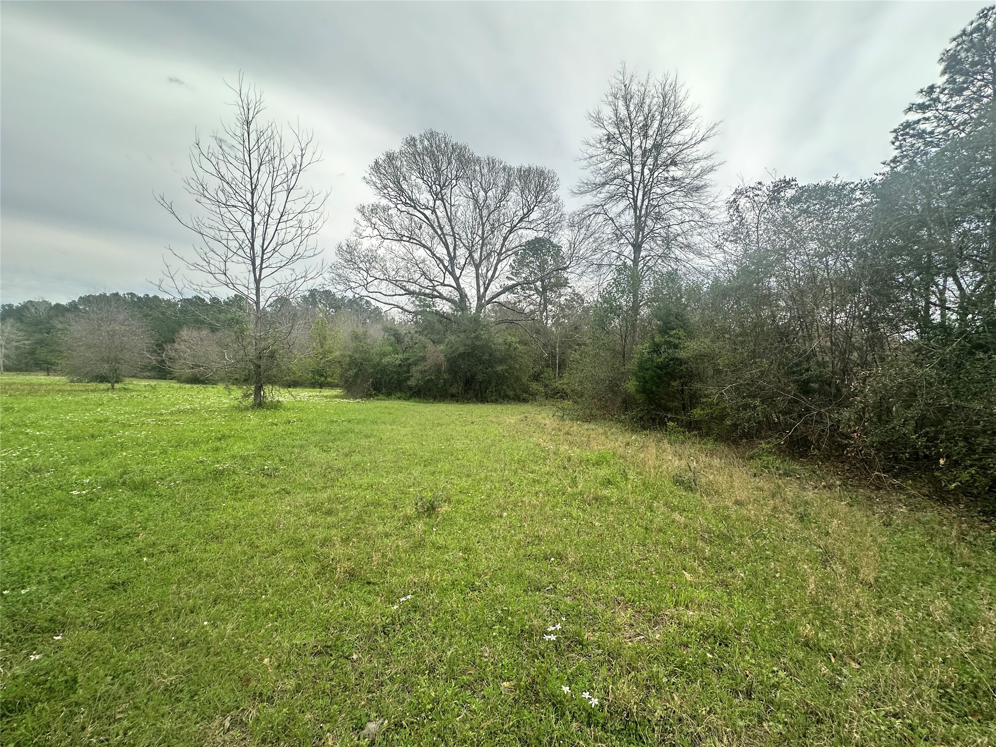 Tbd County Road 4760 Property Photo 17