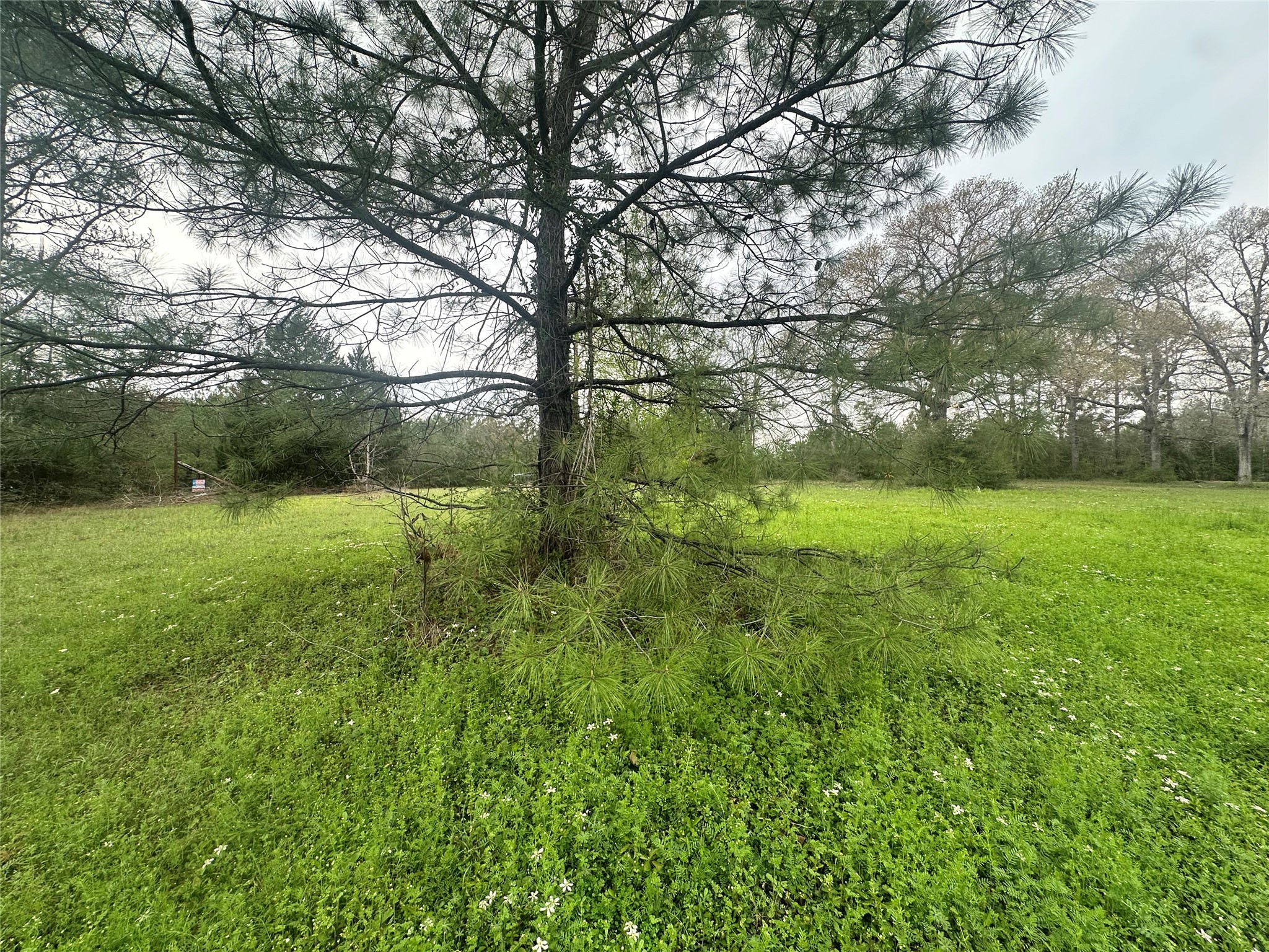 Tbd County Road 4760 Property Photo 18