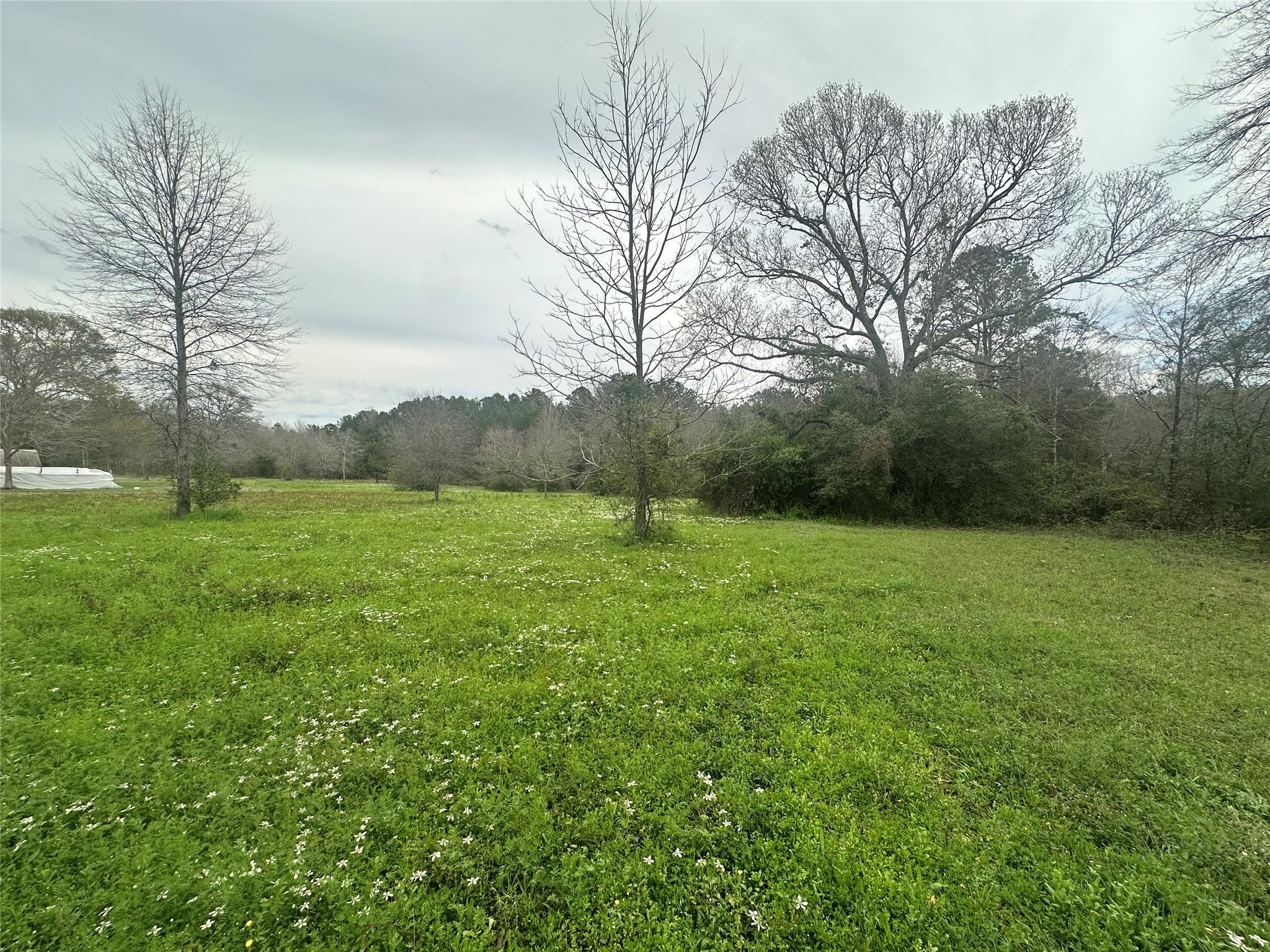 Tbd County Road 4760 Property Photo 19