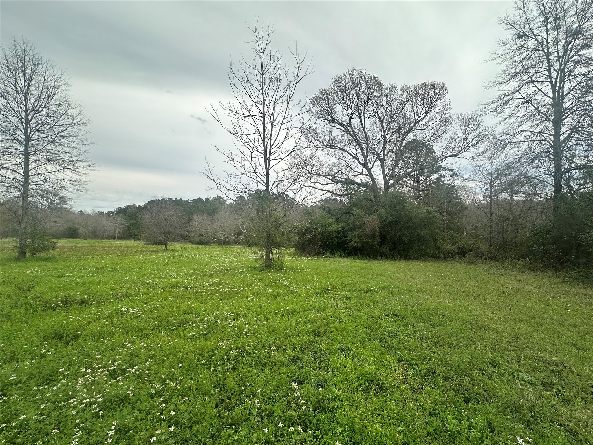 Tbd County Road 4760 Property Photo 20