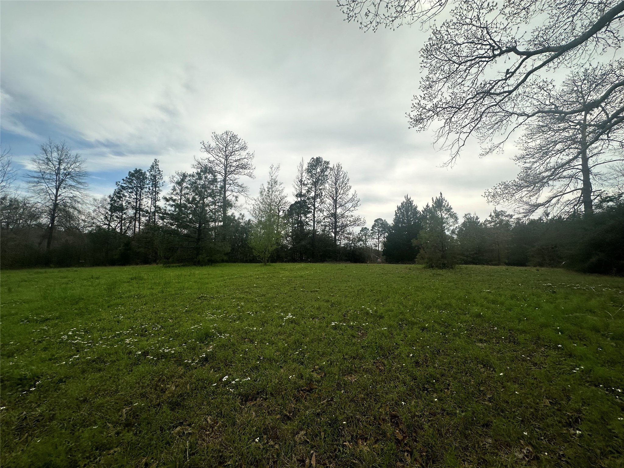 Tbd County Road 4760 Property Photo 21