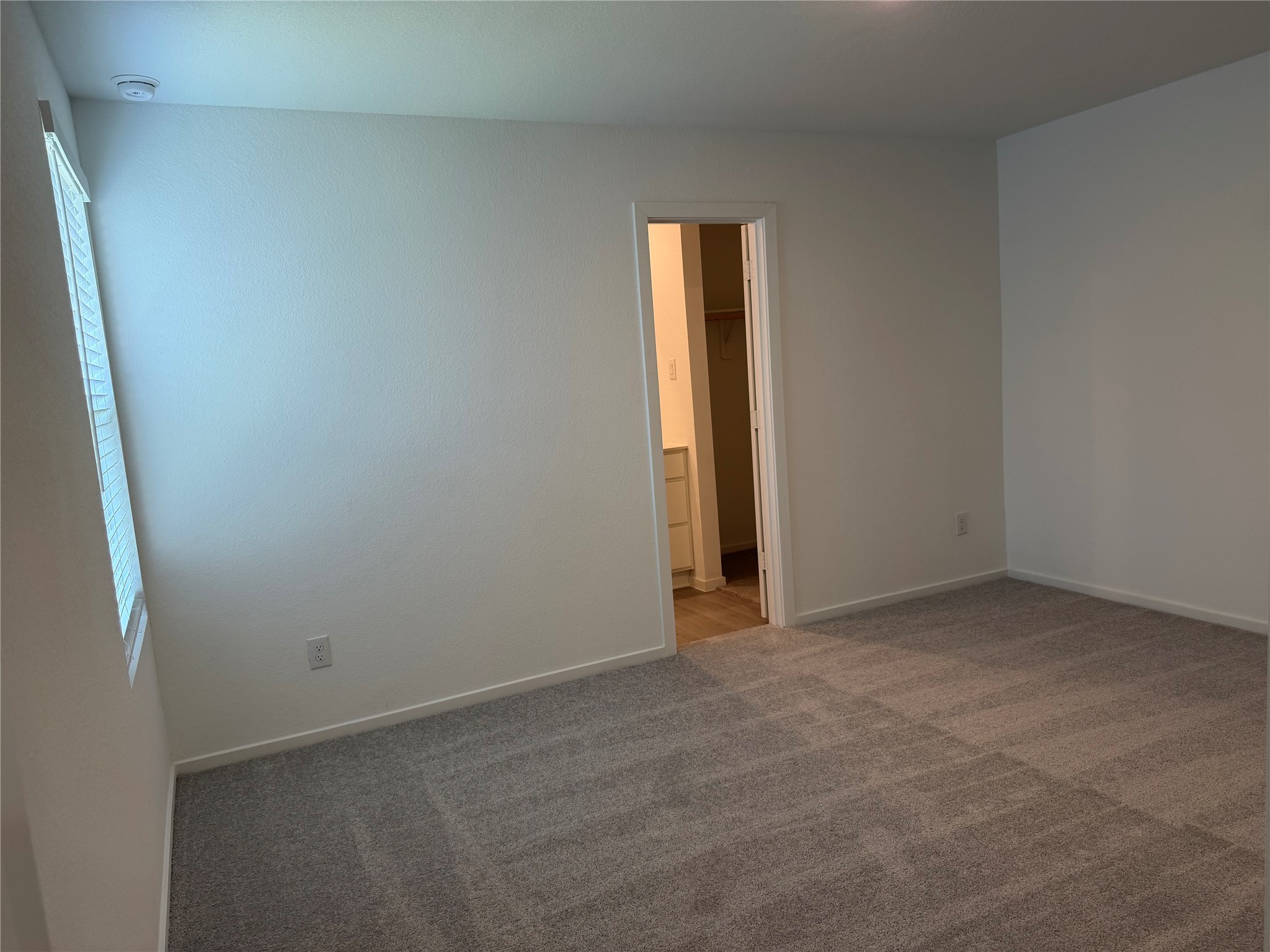 957 Pertuso Lane Property Photo 4