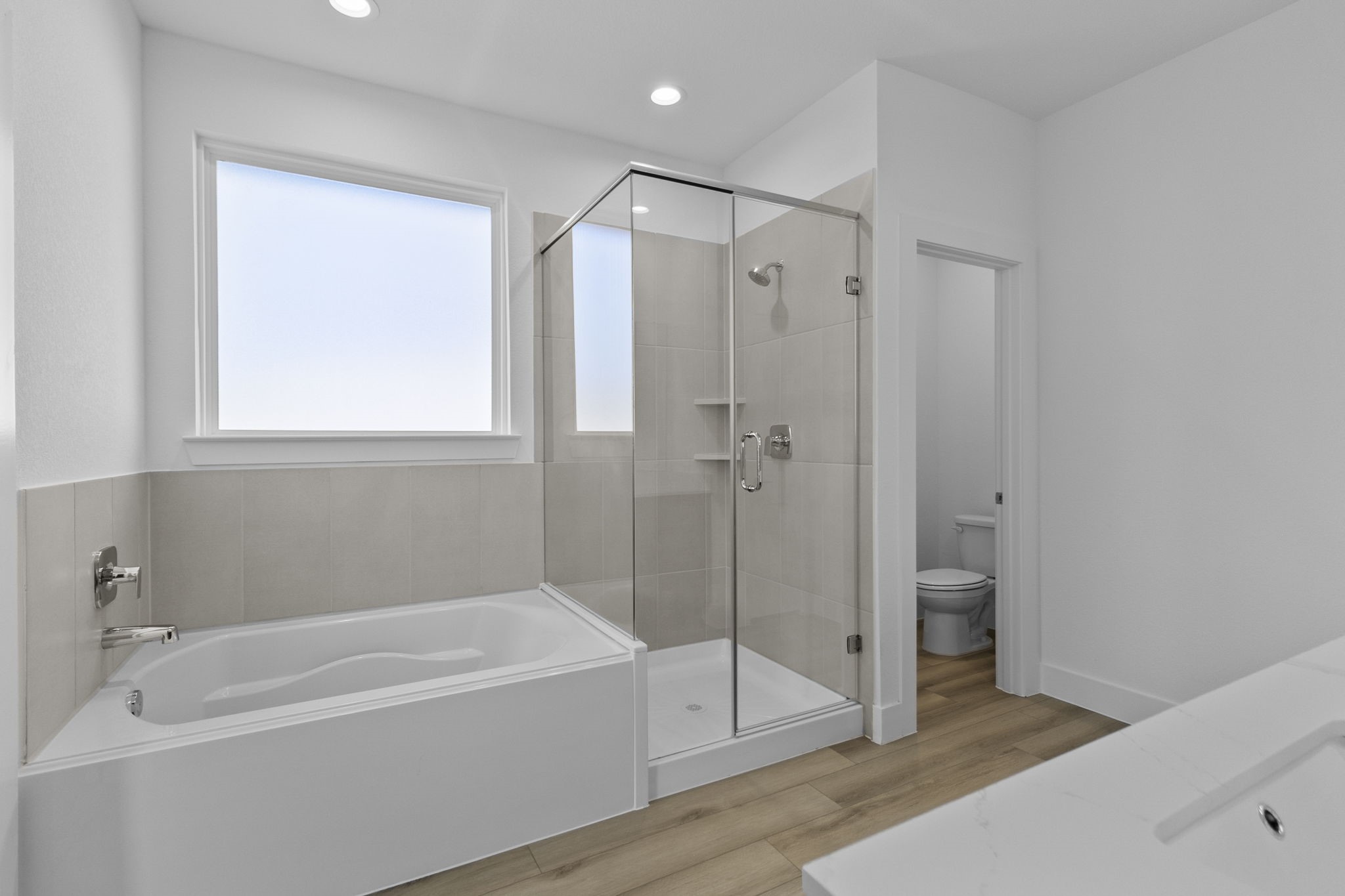 4525 Iguaza Falls Drive Property Photo 19