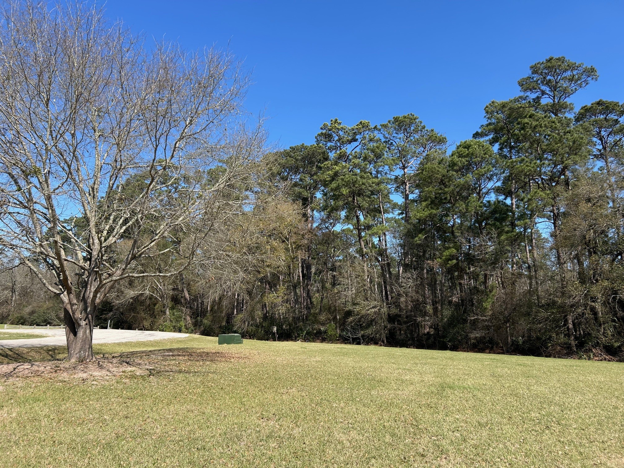 7 Wildwood Lake Drive Property Photo 3