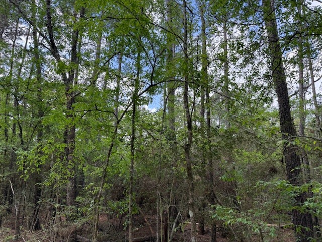 0 Gum Tree Lane Property Photo 2