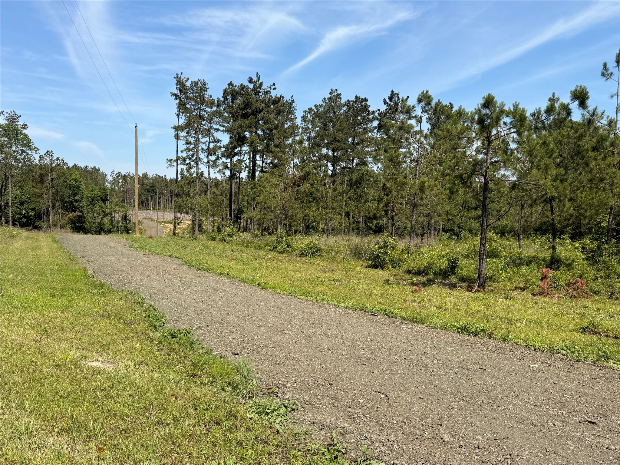 382 Piney Creek Estates Rd Property Photo 9