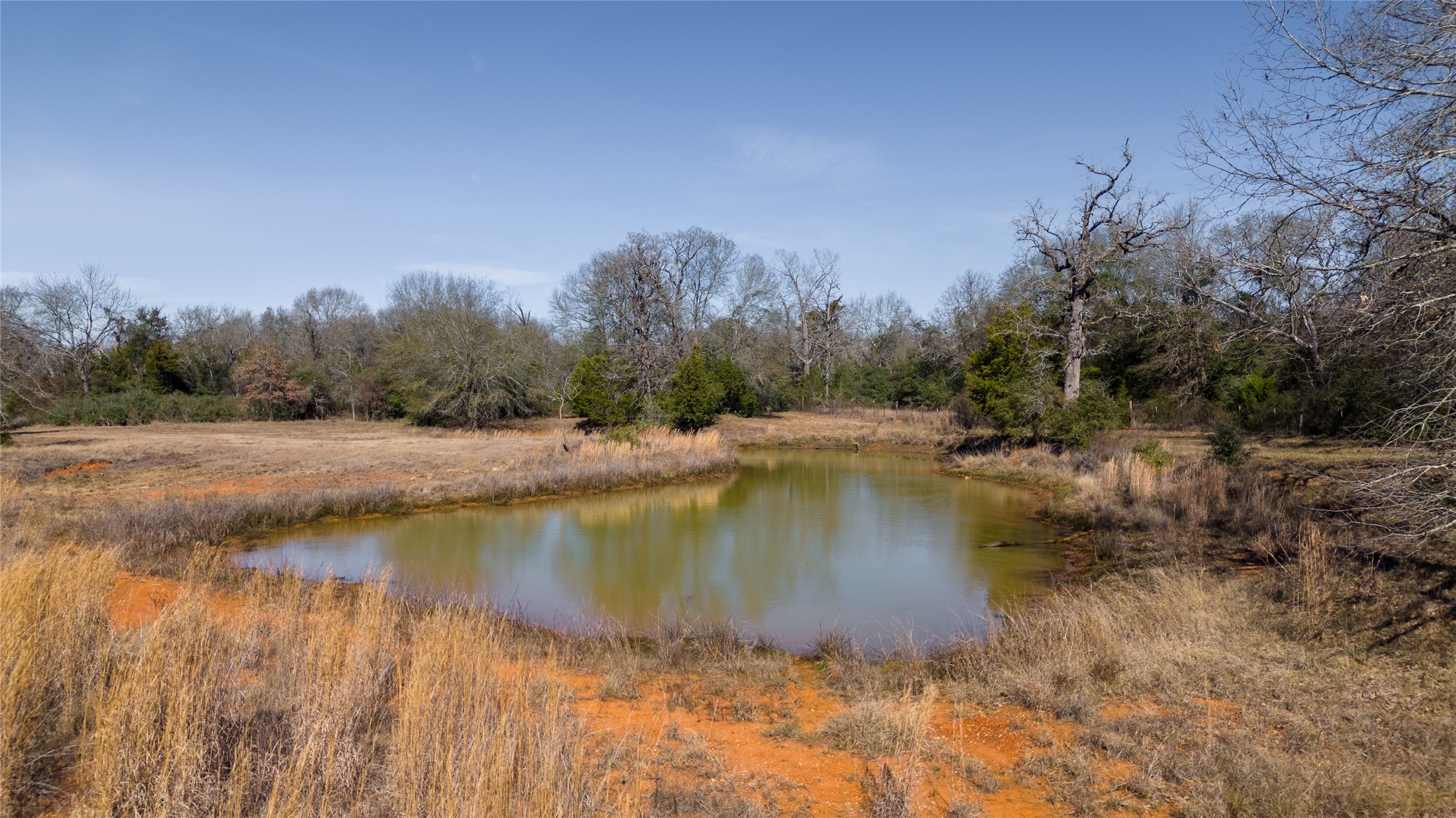 Tbd Tract 6 Wallace Rd Property Photo 1