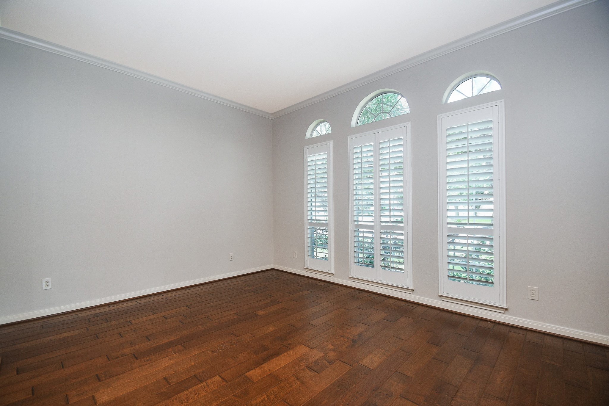 2502 Quiet Lake Court Property Photo 5