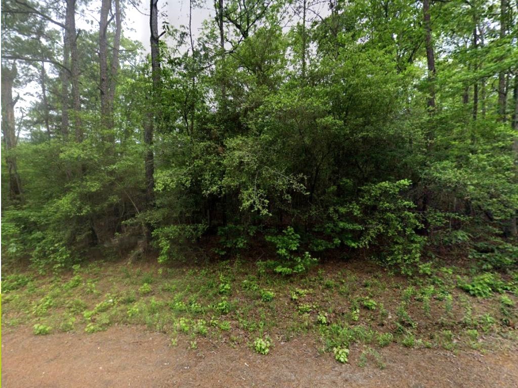 427- Colmesneil Real Estate Listings Main Image