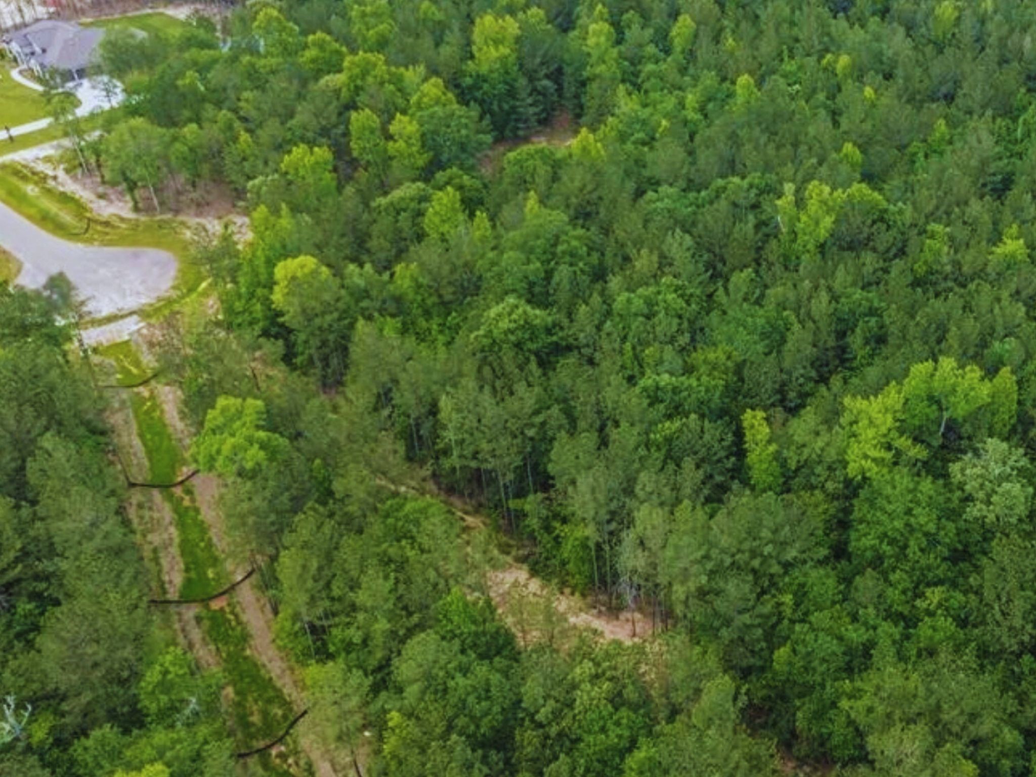 7500 Lonesome Ridge Property Photo 4