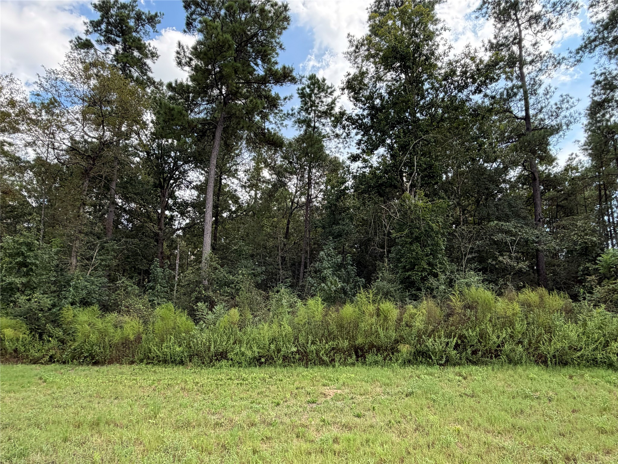 15261 Forest Grove Drive Property Photo 1