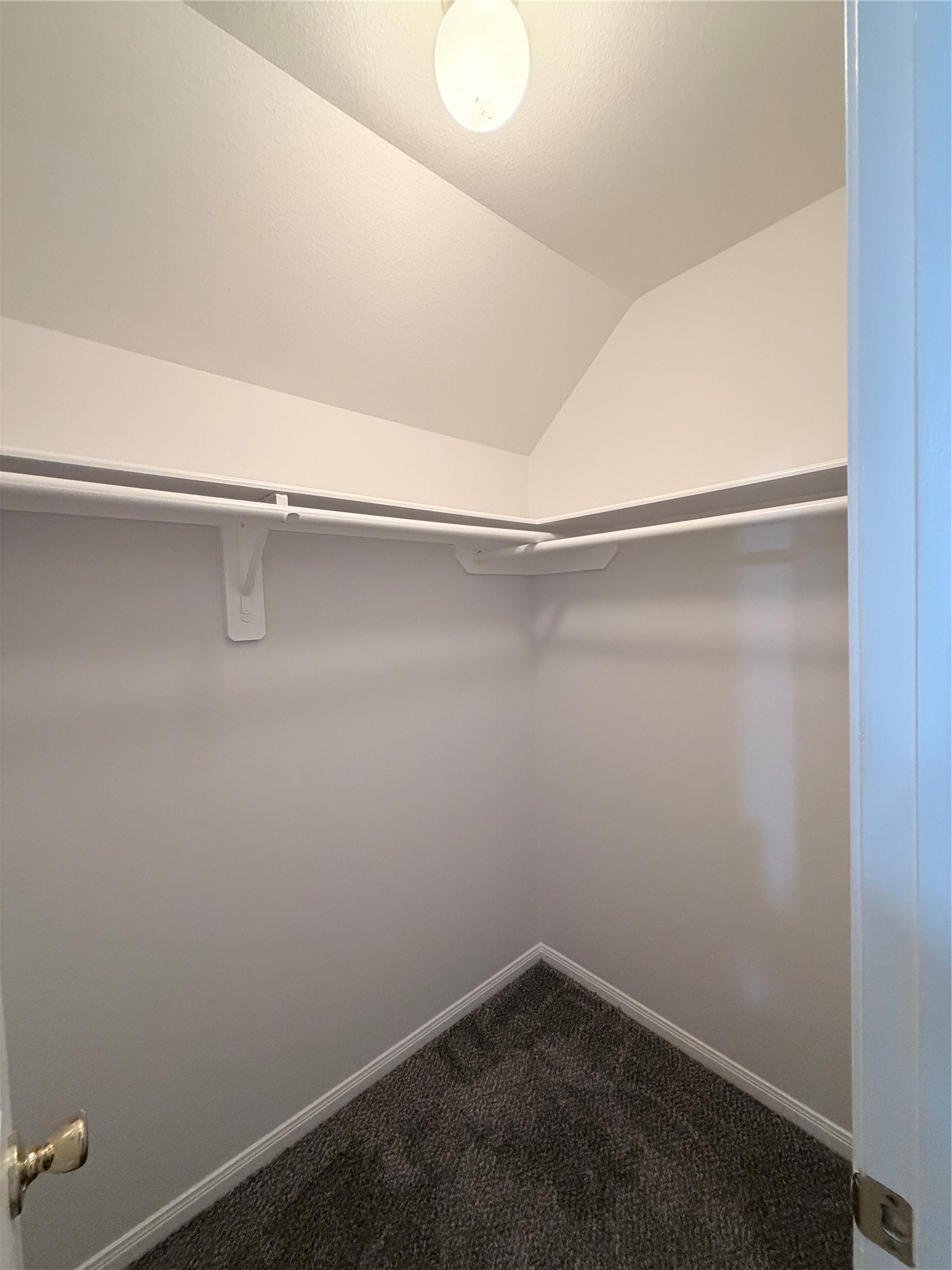 17407 S Sienna Cove Lane Property Photo 26